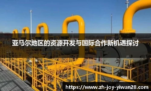 亚马尔地区的资源开发与国际合作新机遇探讨